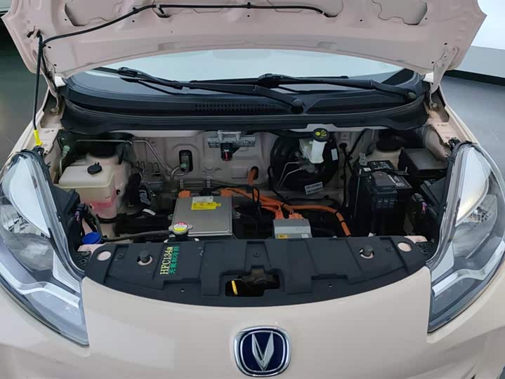 Фото 10 - Changan BenBen E-Star