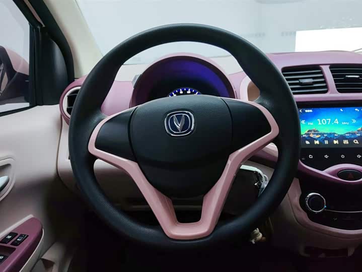 Фото 15 - Changan BenBen E-Star