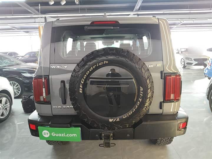 Фото 6 - Tank 300