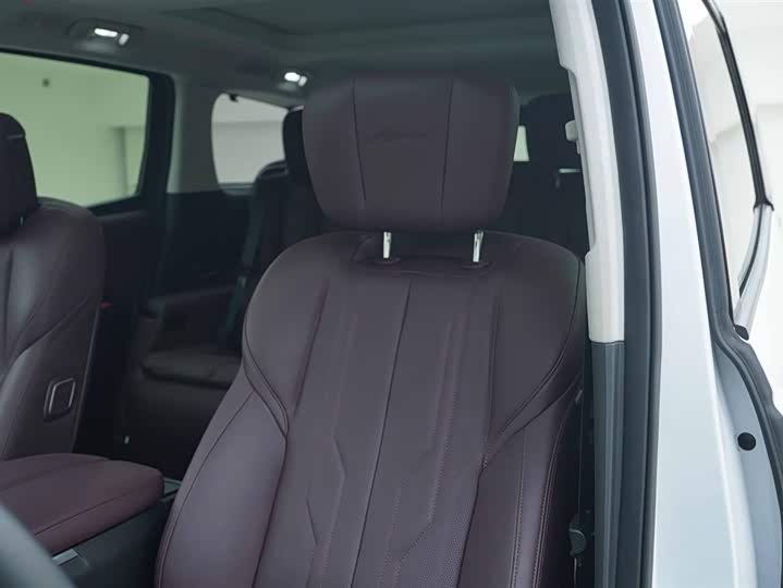 Фото 12 - Buick GL8 Century