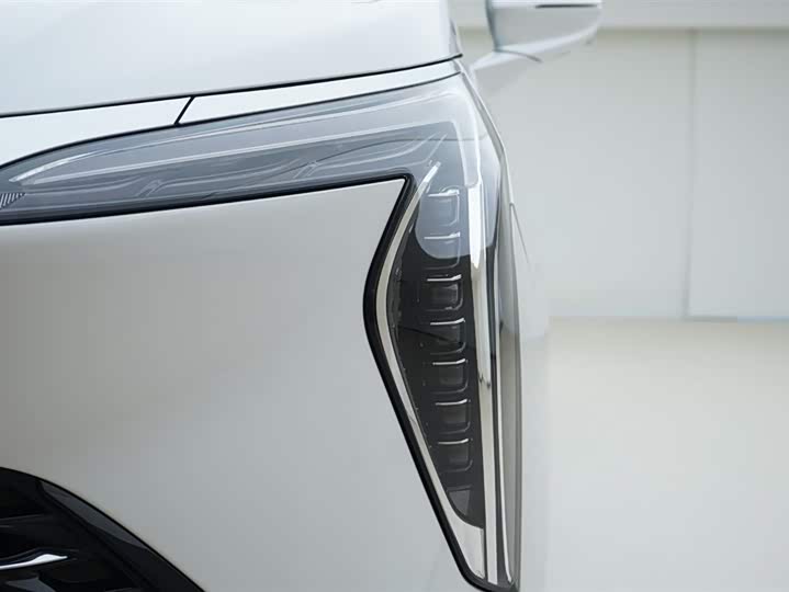 Фото 13 - Buick GL8 Century