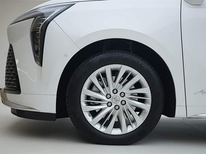 Фото 14 - Buick GL8 Century