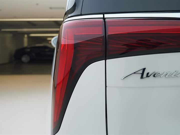 Фото 15 - Buick GL8 Century