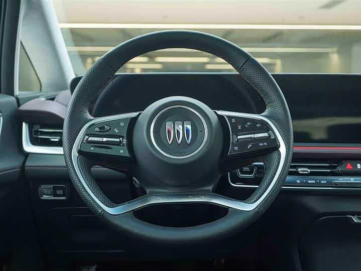 Фото 17 - Buick GL8 Century