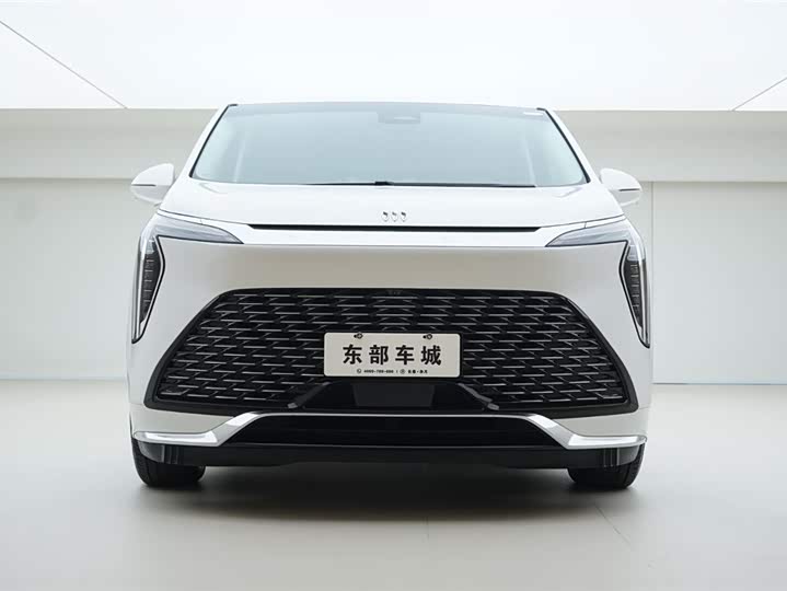 Фото 2 - Buick GL8 Century