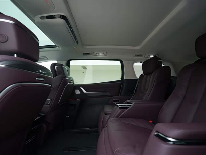 Фото 20 - Buick GL8 Century