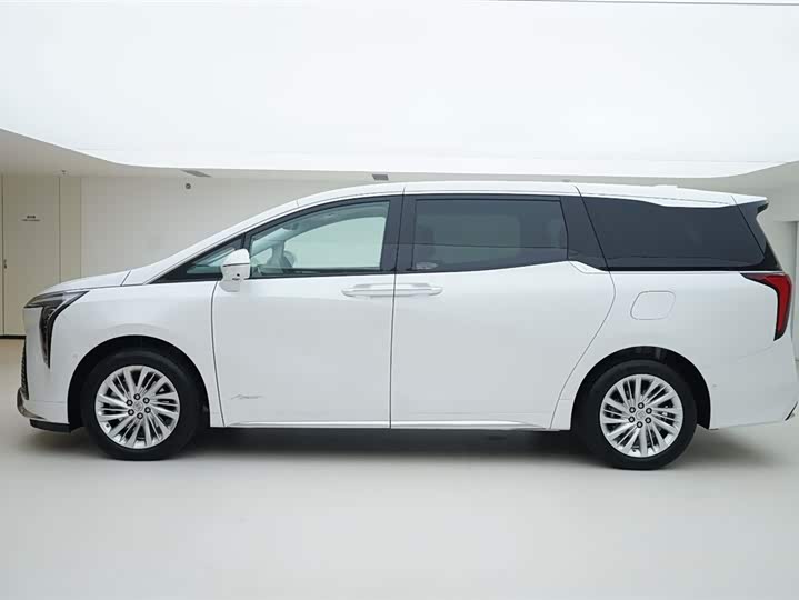 Фото 3 - Buick GL8 Century