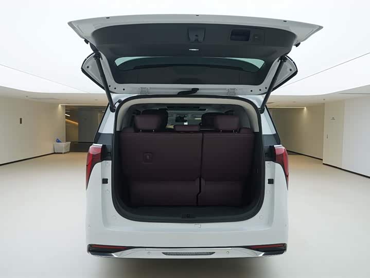 Фото 6 - Buick GL8 Century