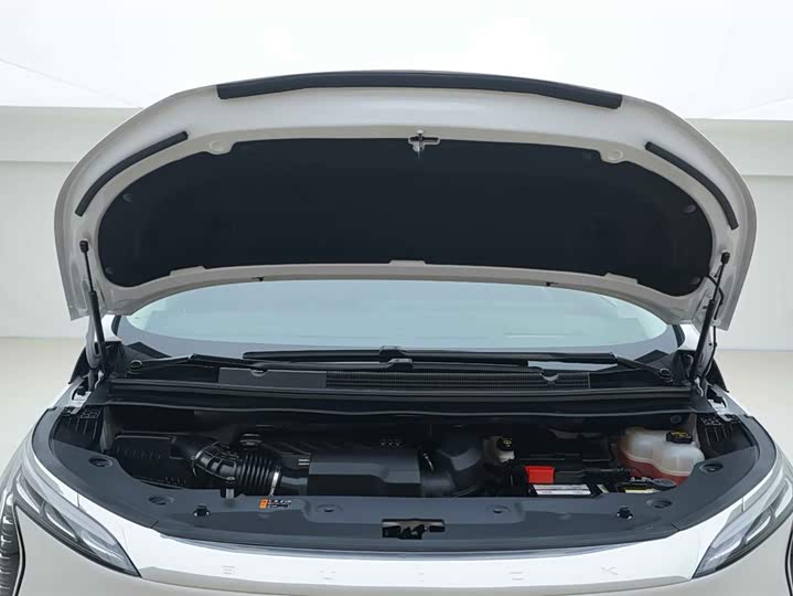 Фото 7 - Buick GL8 Century