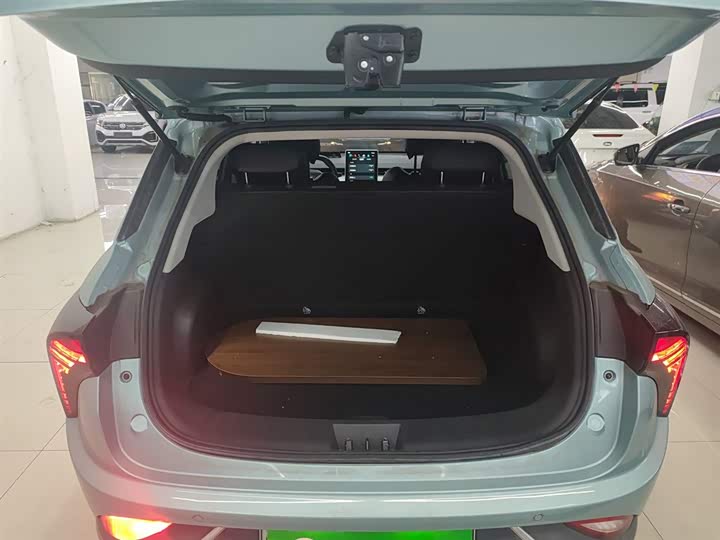 Фото 19 - Hozon V