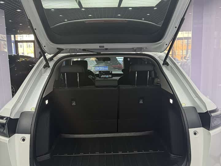 Фото 19 - Honda XR-V