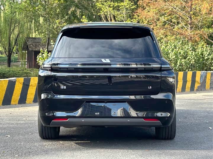 Фото 6 - LiXiang L8