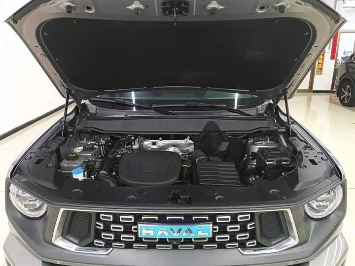 Фото 10 - Haval H-Dog Hybrid