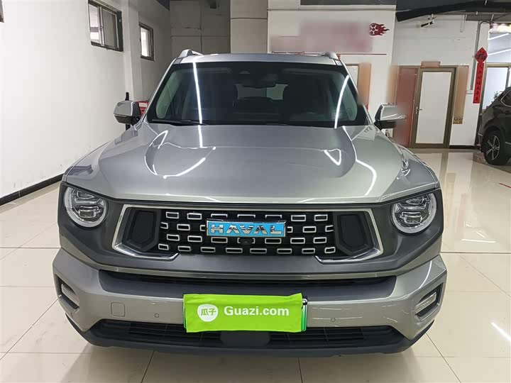 Фото 19 - Haval H-Dog Hybrid