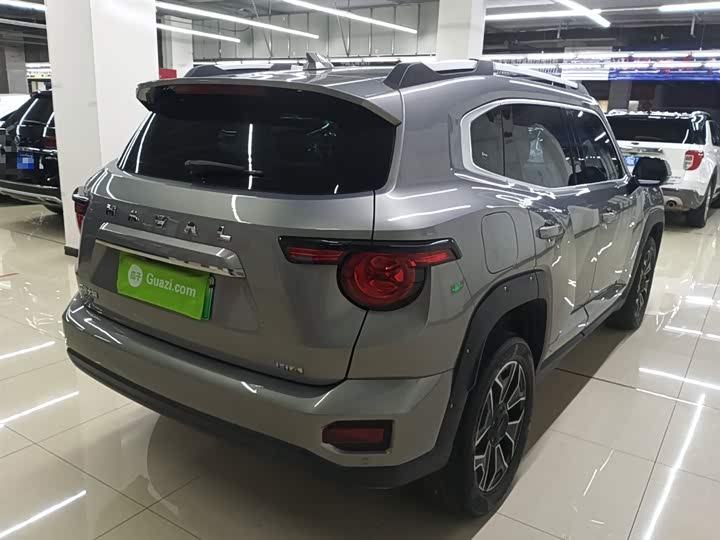 Фото 23 - Haval H-Dog Hybrid