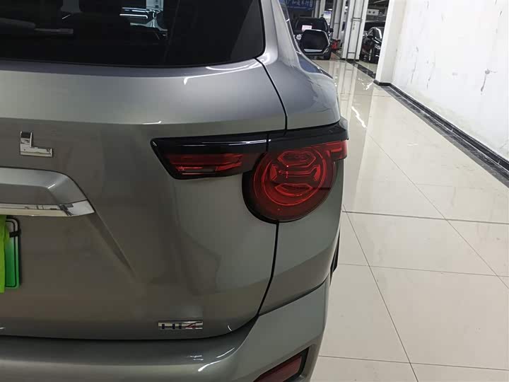 Фото 24 - Haval H-Dog Hybrid