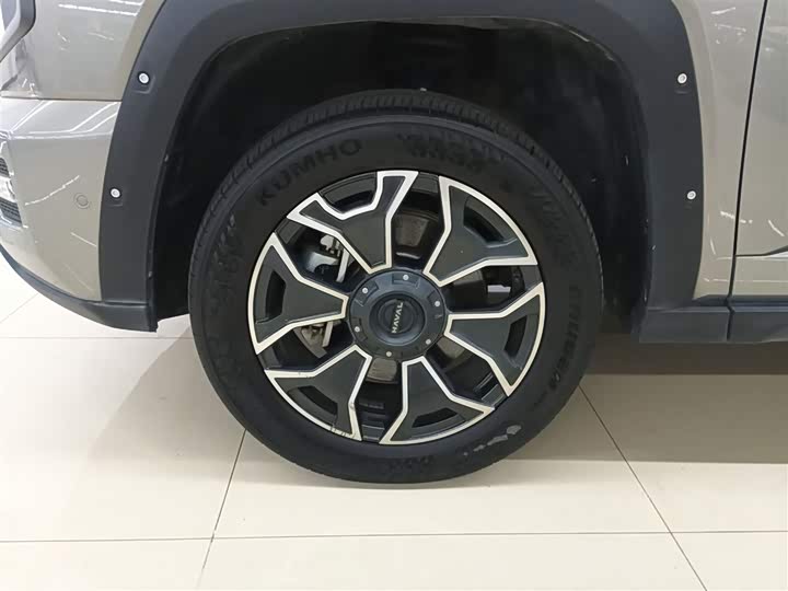 Фото 25 - Haval H-Dog Hybrid