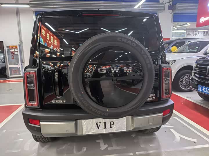 Photo 4 - Haval Raptor