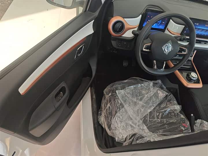 Фото 16 - Dongfeng Nammi Nano EX1