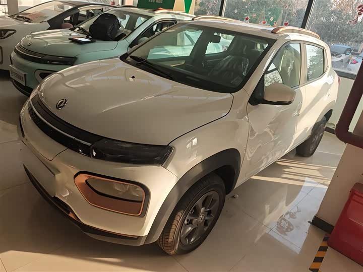 Фото 2 - Dongfeng Nammi Nano EX1