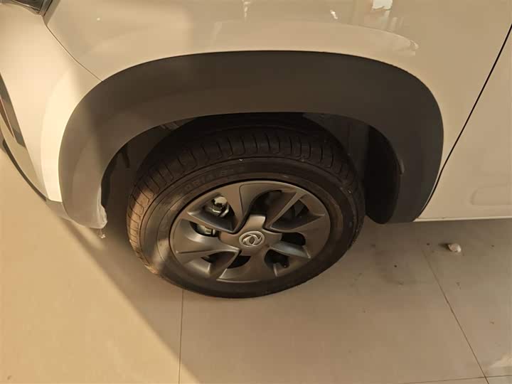 Фото 23 - Dongfeng Nammi Nano EX1