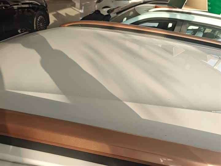 Фото 27 - Dongfeng Nammi Nano EX1