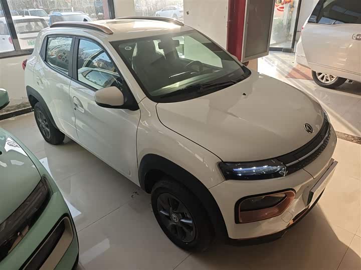 Фото 4 - Dongfeng Nammi Nano EX1