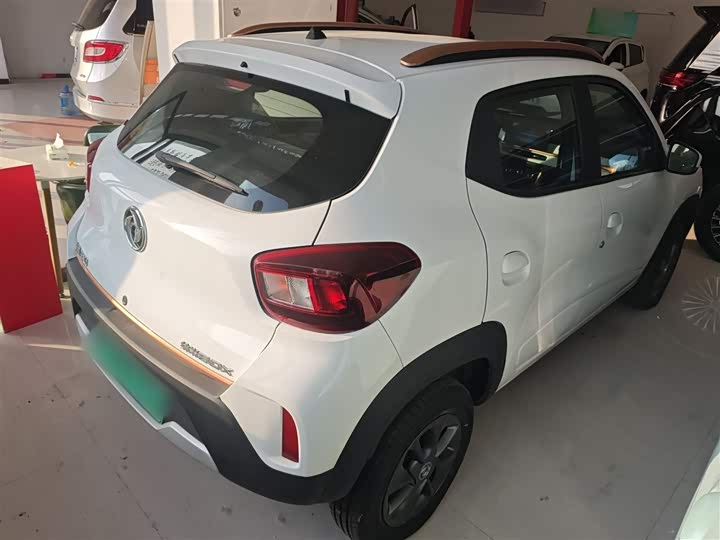 Фото 7 - Dongfeng Nammi Nano EX1