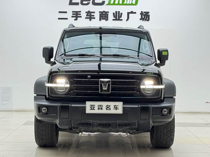 Фото 2 - Tank 300