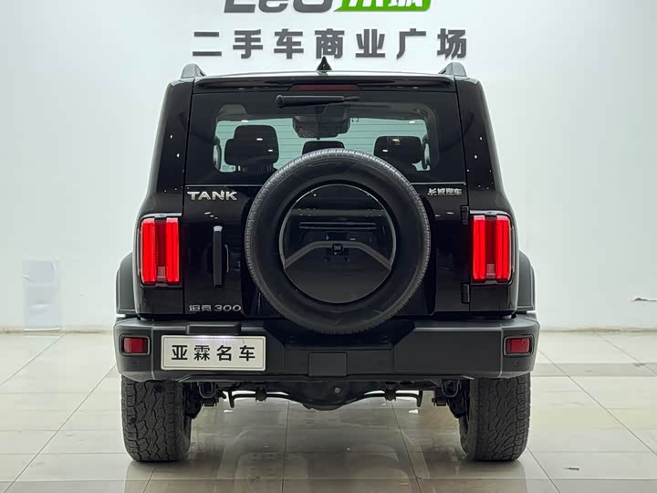 Фото 3 - Tank 300