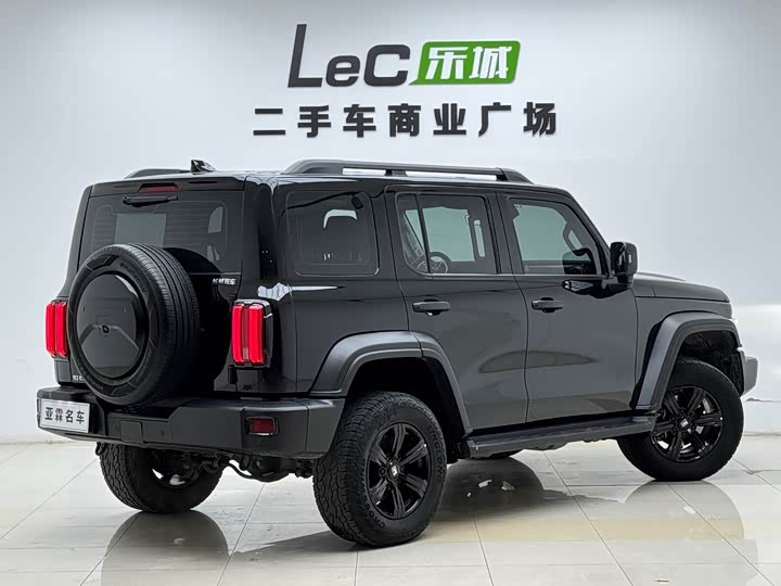 Фото 4 - Tank 300