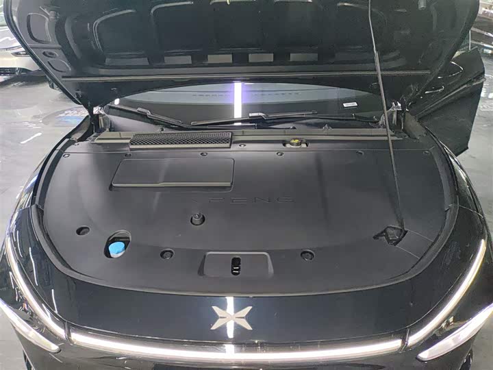 Фото 20 - XPeng F57