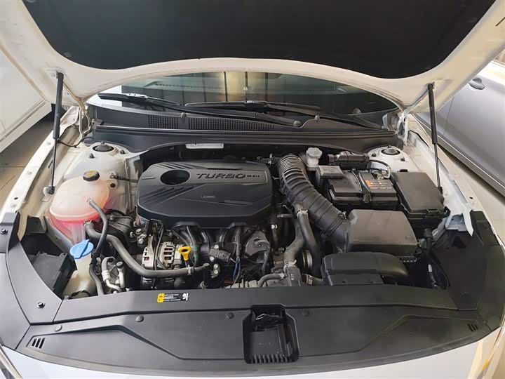 Фото 20 - Hyundai Lafesta