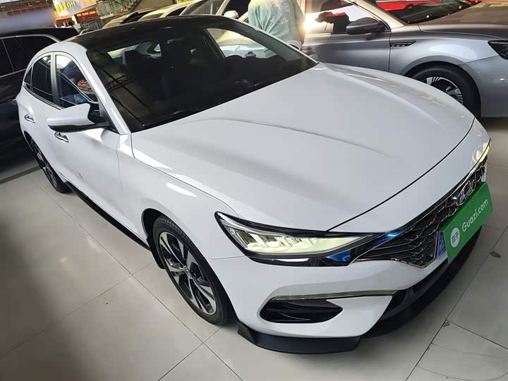 Фото 4 - Hyundai Lafesta