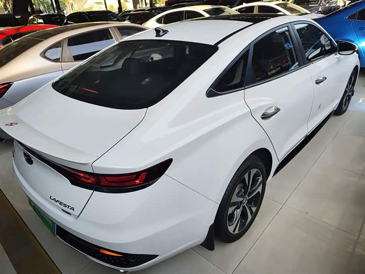 Фото 7 - Hyundai Lafesta