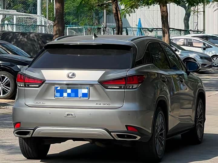 Фото 4 - Lexus RX