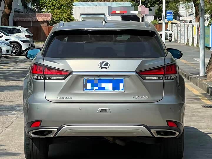 Фото 5 - Lexus RX