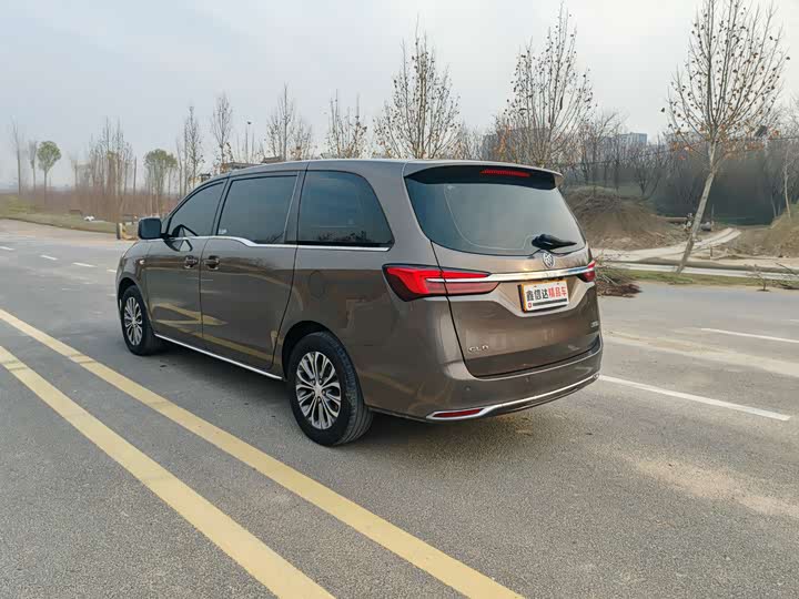 Фото 21 - Buick GL8 ES