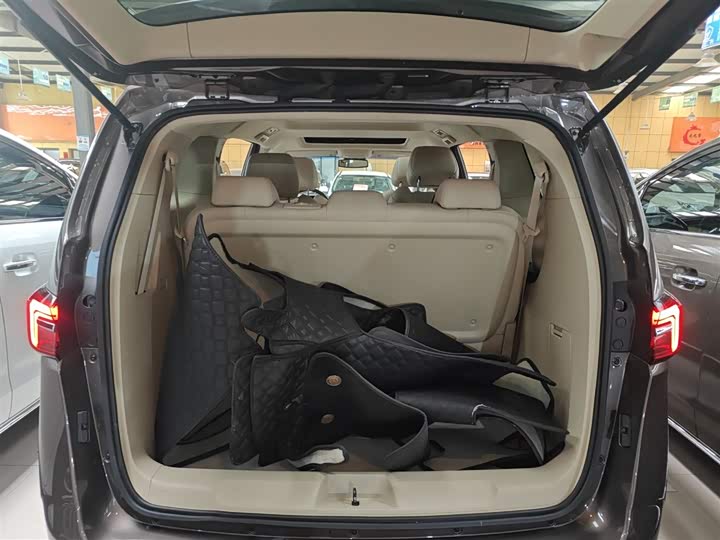 Фото 9 - Buick GL8 ES