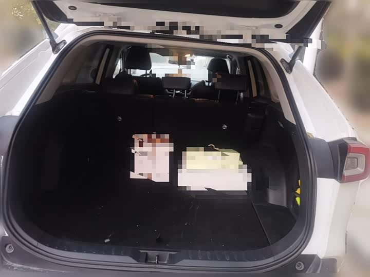 Фото 10 - Toyota Wildlander