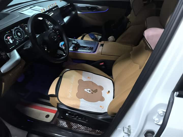 Фото 15 - GAC Trumpchi ES9