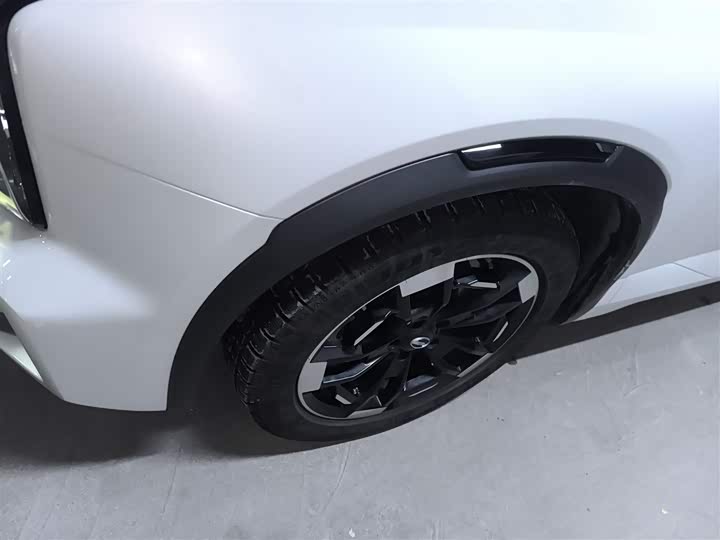 Фото 23 - GAC Trumpchi ES9