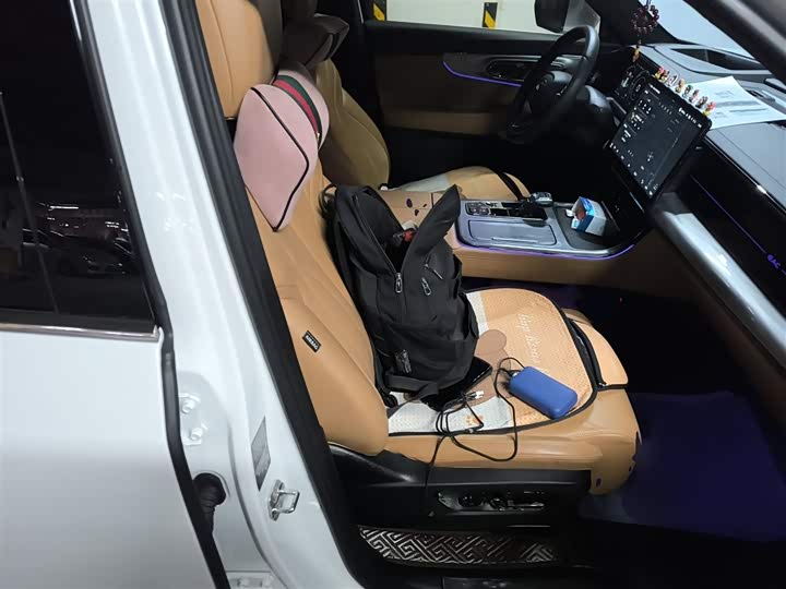 Фото 25 - GAC Trumpchi ES9