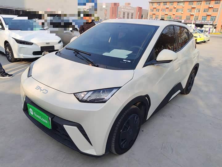 Фото 2 - BYD Seagull