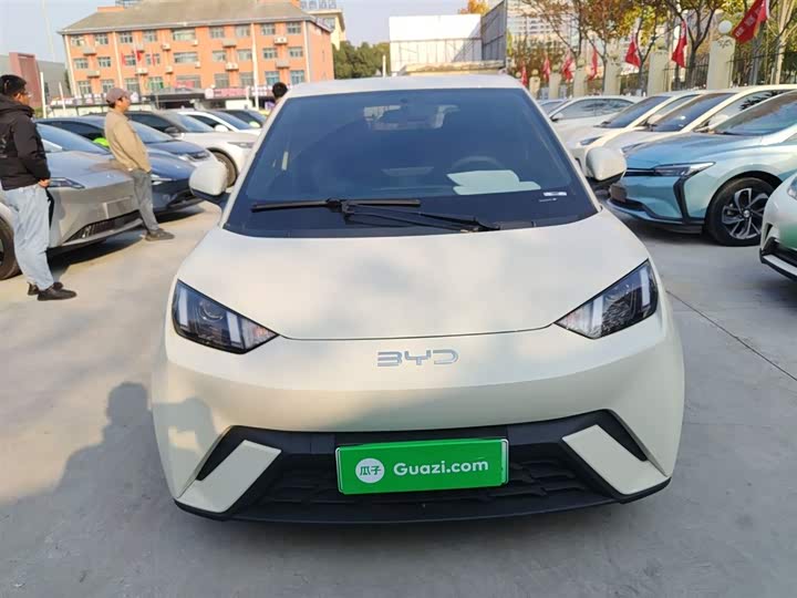 Фото 3 - BYD Seagull