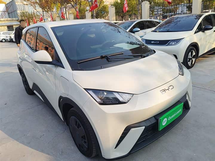 Фото 4 - BYD Seagull