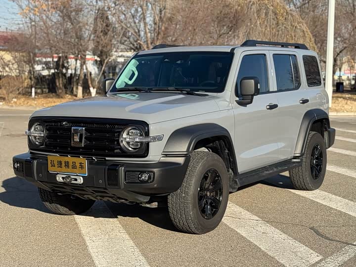 Фото 1 - Tank 300