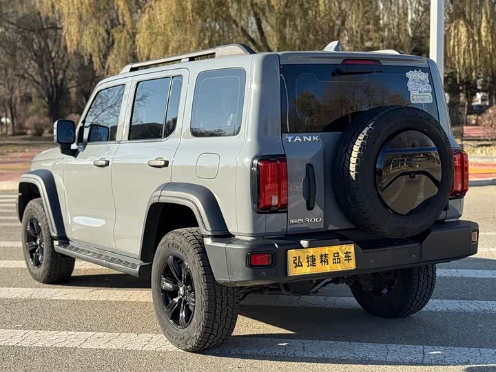 Фото 3 - Tank 300