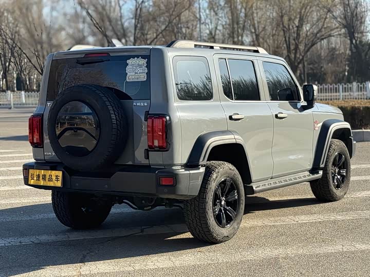 Фото 4 - Tank 300