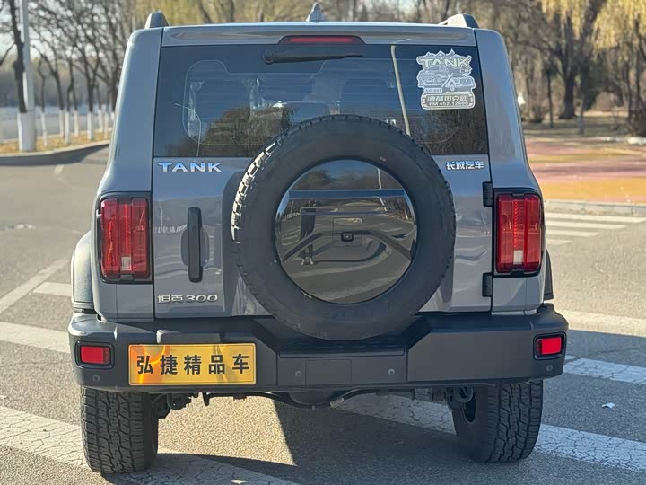 Фото 5 - Tank 300